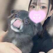 ヒメ日記 2025/09/24 18:01 投稿 くるる☆真面目な未経験♪ JKサークル