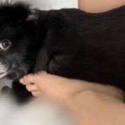 ヒメ日記 2025/09/27 11:47 投稿 くるる☆真面目な未経験♪ JKサークル