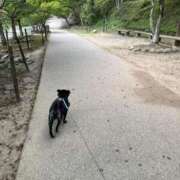 ヒメ日記 2025/09/30 22:45 投稿 くるる☆真面目な未経験♪ JKサークル