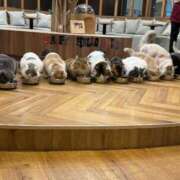 ヒメ日記 2025/10/01 18:03 投稿 くるる☆真面目な未経験♪ JKサークル