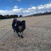 ヒメ日記 2025/10/02 20:02 投稿 くるる☆真面目な未経験♪ JKサークル