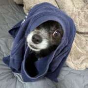 ヒメ日記 2025/10/02 20:31 投稿 くるる☆真面目な未経験♪ JKサークル