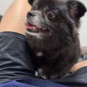 ヒメ日記 2025/10/07 02:00 投稿 くるる☆真面目な未経験♪ JKサークル