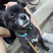 ヒメ日記 2025/10/11 23:07 投稿 くるる☆真面目な未経験♪ JKサークル