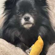 ヒメ日記 2025/10/16 01:07 投稿 くるる☆真面目な未経験♪ JKサークル