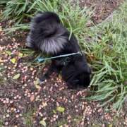 ヒメ日記 2025/10/21 18:31 投稿 くるる☆真面目な未経験♪ JKサークル