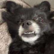 ヒメ日記 2025/10/21 21:59 投稿 くるる☆真面目な未経験♪ JKサークル