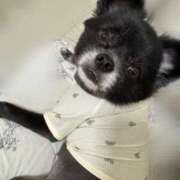 ヒメ日記 2025/10/22 19:30 投稿 くるる☆真面目な未経験♪ JKサークル