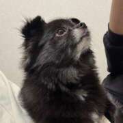 ヒメ日記 2025/10/23 00:45 投稿 くるる☆真面目な未経験♪ JKサークル