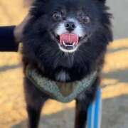 ヒメ日記 2025/10/23 16:08 投稿 くるる☆真面目な未経験♪ JKサークル