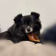 ヒメ日記 2025/10/23 18:38 投稿 くるる☆真面目な未経験♪ JKサークル