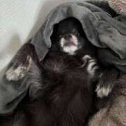 ヒメ日記 2025/10/24 07:01 投稿 くるる☆真面目な未経験♪ JKサークル