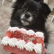 ヒメ日記 2025/10/24 18:03 投稿 くるる☆真面目な未経験♪ JKサークル