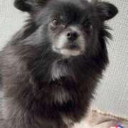 ヒメ日記 2025/10/31 08:02 投稿 くるる☆真面目な未経験♪ JKサークル