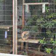 ヒメ日記 2025/11/02 17:08 投稿 くるる☆真面目な未経験♪ JKサークル