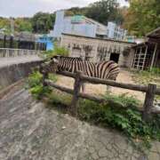 ヒメ日記 2025/11/02 21:31 投稿 くるる☆真面目な未経験♪ JKサークル