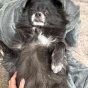 ヒメ日記 2025/11/02 22:45 投稿 くるる☆真面目な未経験♪ JKサークル