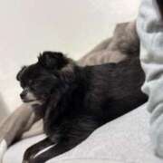 ヒメ日記 2025/11/09 01:01 投稿 くるる☆真面目な未経験♪ JKサークル