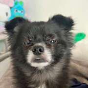 ヒメ日記 2025/11/12 19:16 投稿 くるる☆真面目な未経験♪ JKサークル