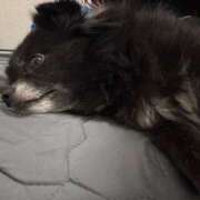 ヒメ日記 2025/11/12 20:02 投稿 くるる☆真面目な未経験♪ JKサークル