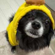 ヒメ日記 2025/11/13 21:03 投稿 くるる☆真面目な未経験♪ JKサークル