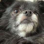 ヒメ日記 2025/11/16 14:19 投稿 くるる☆真面目な未経験♪ JKサークル