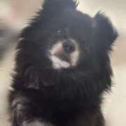 ヒメ日記 2025/11/16 18:03 投稿 くるる☆真面目な未経験♪ JKサークル