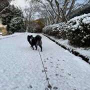 ヒメ日記 2025/11/18 00:30 投稿 くるる☆真面目な未経験♪ JKサークル