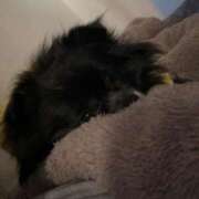 ヒメ日記 2025/11/20 08:30 投稿 くるる☆真面目な未経験♪ JKサークル