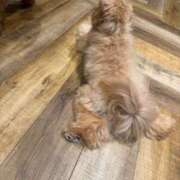 ヒメ日記 2025/11/23 22:15 投稿 くるる☆真面目な未経験♪ JKサークル