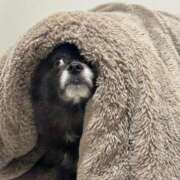 ヒメ日記 2025/11/24 14:17 投稿 くるる☆真面目な未経験♪ JKサークル