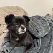 ヒメ日記 2025/11/24 18:27 投稿 くるる☆真面目な未経験♪ JKサークル