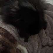 ヒメ日記 2025/11/25 10:01 投稿 くるる☆真面目な未経験♪ JKサークル