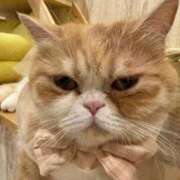 ヒメ日記 2025/11/25 11:30 投稿 くるる☆真面目な未経験♪ JKサークル