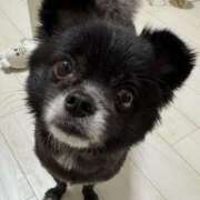 ヒメ日記 2025/11/25 23:46 投稿 くるる☆真面目な未経験♪ JKサークル