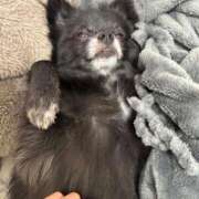 ヒメ日記 2025/11/26 23:45 投稿 くるる☆真面目な未経験♪ JKサークル