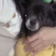 ヒメ日記 2025/11/27 17:02 投稿 くるる☆真面目な未経験♪ JKサークル