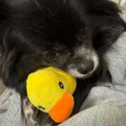 ヒメ日記 2025/11/28 17:31 投稿 くるる☆真面目な未経験♪ JKサークル