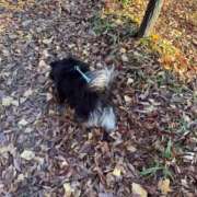 ヒメ日記 2025/11/30 19:04 投稿 くるる☆真面目な未経験♪ JKサークル