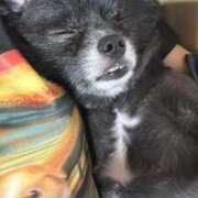 ヒメ日記 2025/12/01 08:01 投稿 くるる☆真面目な未経験♪ JKサークル