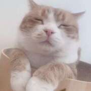 ヒメ日記 2025/12/03 17:30 投稿 くるる☆真面目な未経験♪ JKサークル