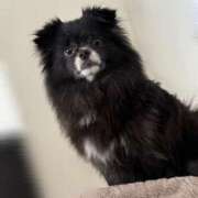 ヒメ日記 2025/12/03 18:02 投稿 くるる☆真面目な未経験♪ JKサークル