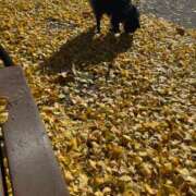 ヒメ日記 2025/12/04 22:02 投稿 くるる☆真面目な未経験♪ JKサークル