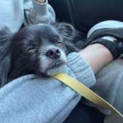 ヒメ日記 2025/12/08 14:01 投稿 くるる☆真面目な未経験♪ JKサークル