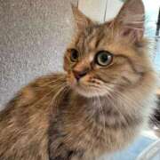 ヒメ日記 2025/12/08 22:30 投稿 くるる☆真面目な未経験♪ JKサークル