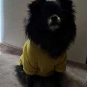 ヒメ日記 2025/12/11 09:01 投稿 くるる☆真面目な未経験♪ JKサークル