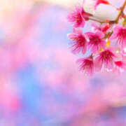 ヒメ日記 2026/04/01 13:46 投稿 みか 逢って30秒で即尺