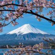 ヒメ日記 2026/04/08 13:12 投稿 みか 逢って30秒で即尺