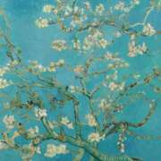 ヒメ日記 2026/04/15 18:34 投稿 みか 逢って30秒で即尺