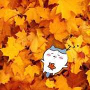 ヒメ日記 2025/11/04 13:39 投稿 ななせ One More奥様　立川店